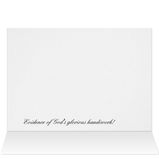 Gorgeous mountaintop view (Inside Horizontal (Top))