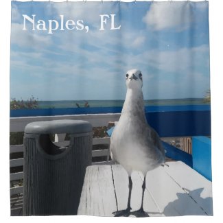 Naples, FL Seagull Picture Shower Curtain