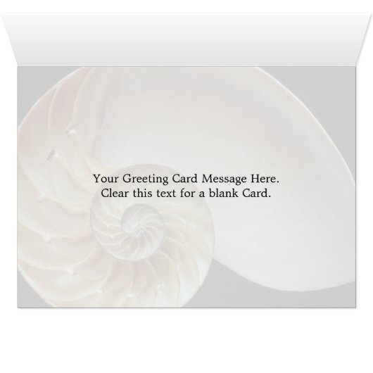 Gorgeous Nautilus shell (Inside Horizontal (Bottom))