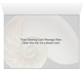 Gorgeous Nautilus shell Cards (Inside Horizontal (Bottom))