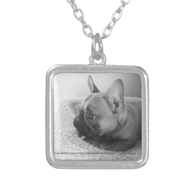 Gorgeous Necklace (Front)