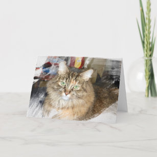 Gorgeous Norwegian Forest Cat Card