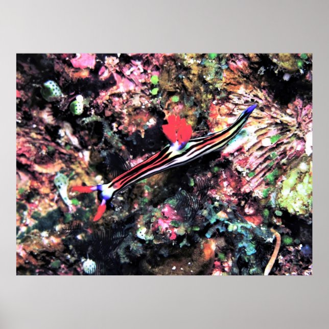 Gorgeous Nudi Poster (Front)