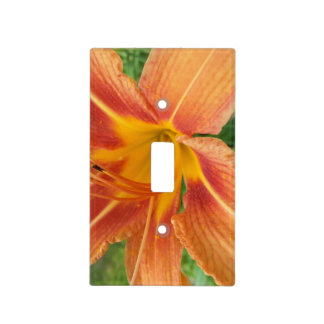 Gorgeous Orange Flower Light Switch