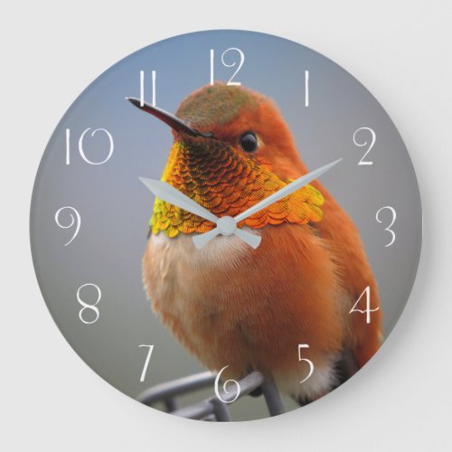 Gorgeous Orange Hummingbird Large Clock
