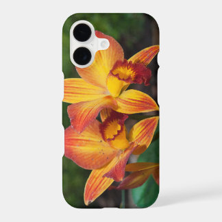 Gorgeous Orange Yellow Rhyncattleanthe Orchid iPhone 17 Case