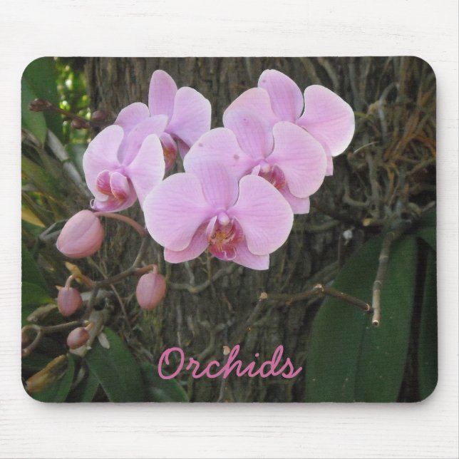Gorgeous Orchids Mouse Pad (Front)