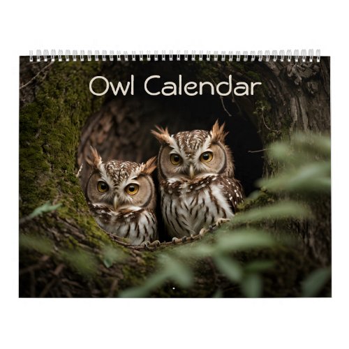 Gorgeous Owl Portrait Collection 2024 Calendar