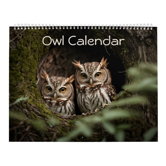 Gorgeous Owl Portrait Collection 2026 Calendar (Cover)
