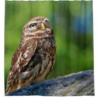 Owl Print Shower Curtain