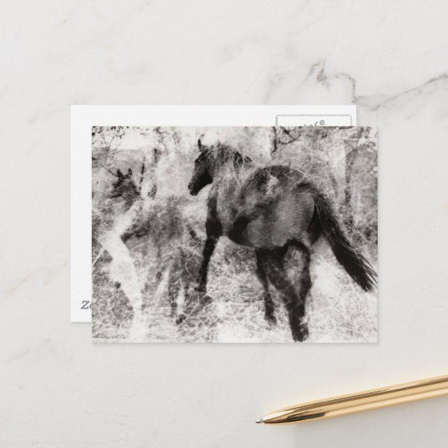 Gorgeous Paint Horse Mare and Foal  Postcard (Front/Back In Situ)