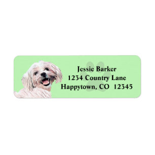 Gorgeous Painted Maltese Return Address Label