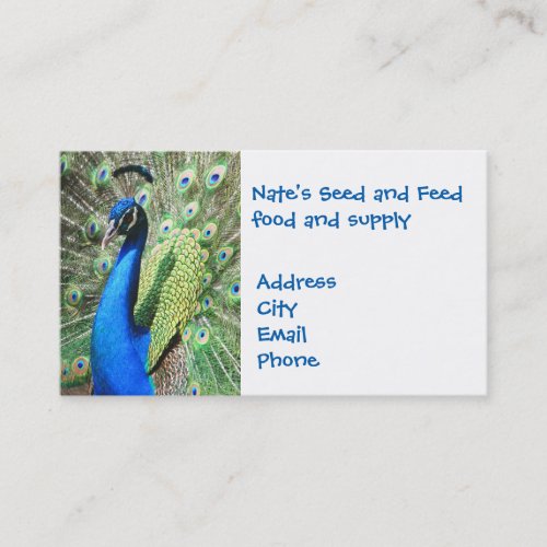 Gorgeous Peacock Business Card