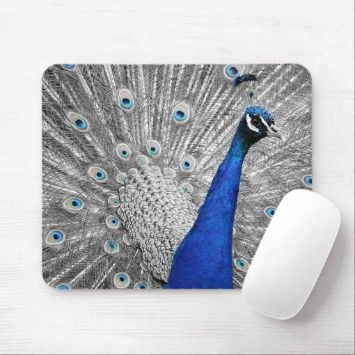 Gorgeous Peacock Mouse Pad | Zazzle