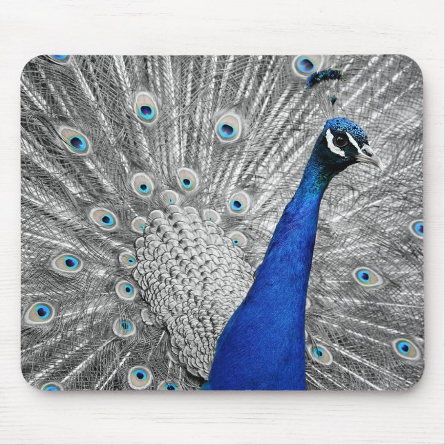 Gorgeous Peacock Mouse Pad (Front)