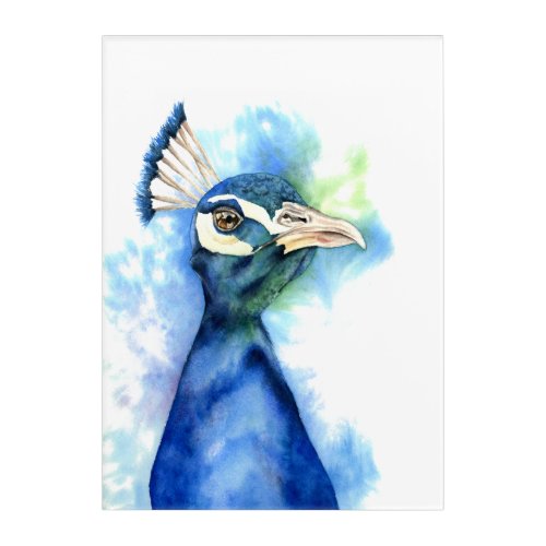 Gorgeous Peacock Watercolor Painting Acrylic Print