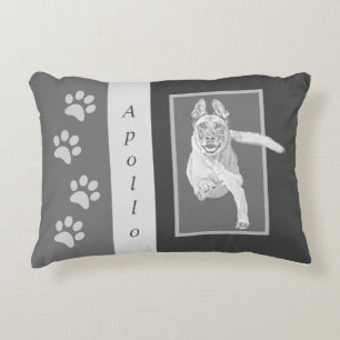 Gorgeous Pencil Belgian Malinois Accent Pillow
