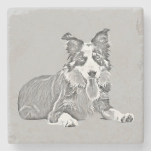 Gorgeous Pencil Border Collie Marble Coaster