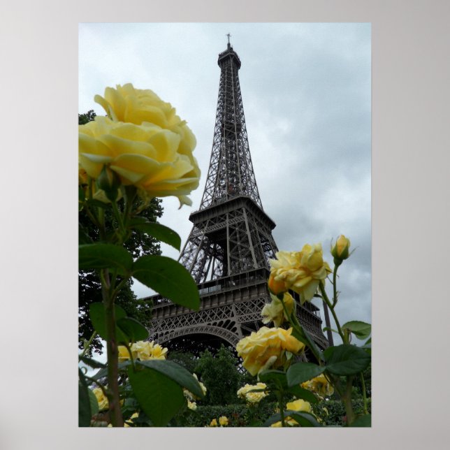 Gorgeous Photo Eiffel Tower Paris Yellow Roses Poster (Front)