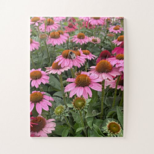 Gorgeous Pink Echinacea Flowers and Bee Jigsaw Puzzle