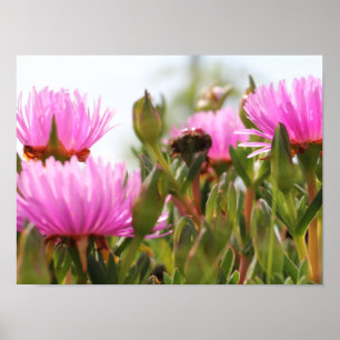 Gorgeous Pink Flowers A3 Poster