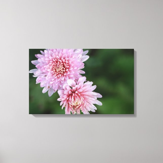 Gorgeous Pink Flowers Stretched Canvas Print (Front)