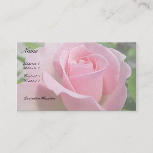 Customizable Gorgeous Pink Rose Business Card