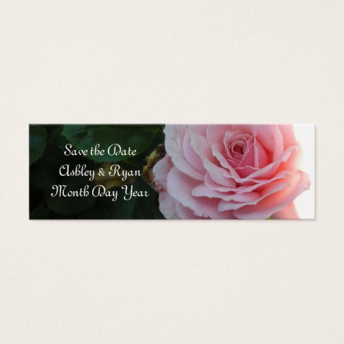 Gorgeous Pink Rose Save the Date