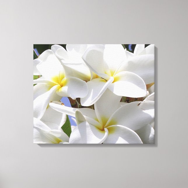 Gorgeous Plumeria Wrapped Canvas Print (Front)