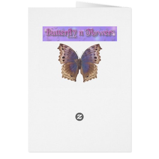 Gorgeous Purple Butterfly (Back)