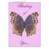 Gorgeous Purple Butterfly (Front)