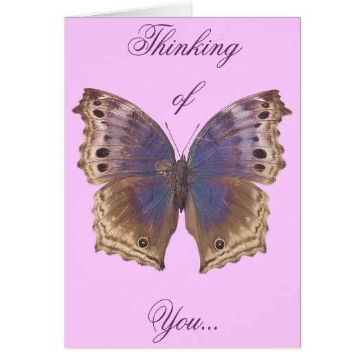 Gorgeous Purple Butterfly Cards (Front)
