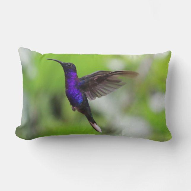 Gorgeous purple hummingbird pillow (Front)