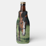 Gorgeous Quarter Horse Bottle Cooler at Zazzle