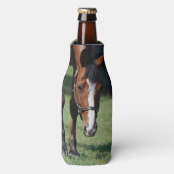 Gorgeous Quarter Horse Bottle Cooler by HorseStall at Zazzle