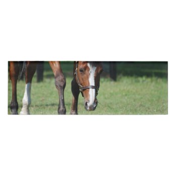Gorgeous Quarter Horse Name Tag by HorseStall at Zazzle