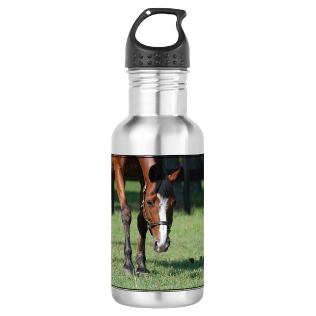 Gorgeous Quarter Horse Stainless Steel Water Bottle (Front)
