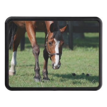 Gorgeous Quarter Horse Trailer Hitch Cover by HorseStall at Zazzle