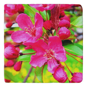 Gorgeous Red Barron Crabapple Photo Trivet