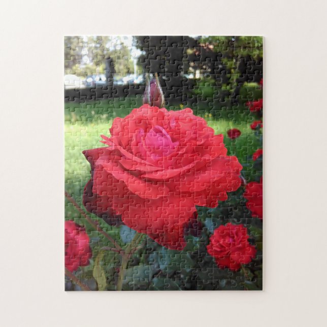 Gorgeous Red Roses Jigsaw Puzzle (Vertical)