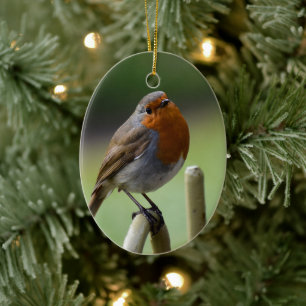 Gorgeous Robin Ceramic Ornament