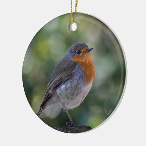 Gorgeous Robin  Ceramic Ornament