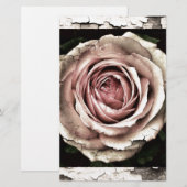 Gorgeous Rose (Front/Back)