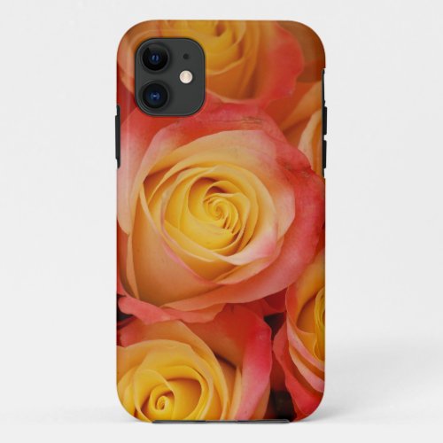 Gorgeous Roses iPhone 11 Case