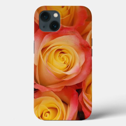 Gorgeous Roses iPhone 13 Case