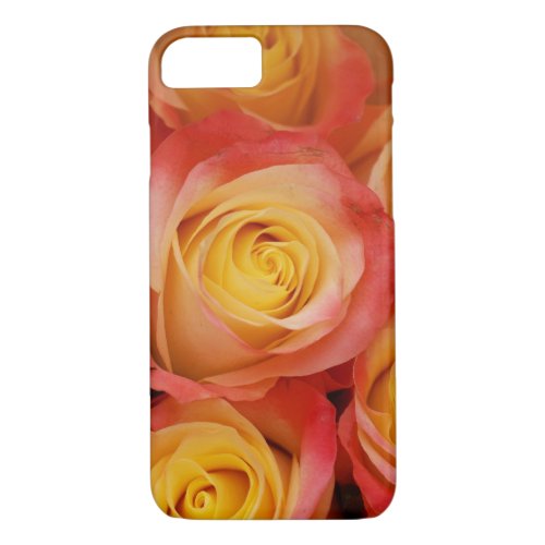 Gorgeous Roses iPhone 87 Case