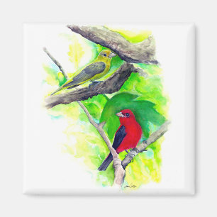 Gorgeous Scarlet Tanagers Painting Magnet