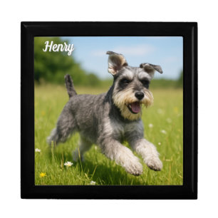 Gorgeous Schnauzer Personalized Jewelry Keepsake Gift Box