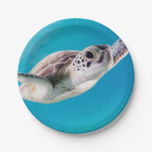 Gorgeous Sea Turtle Swimming in the Ocean