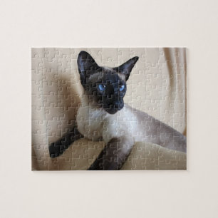 Gorgeous Siamese Cat Face Jigsaw Puzzle